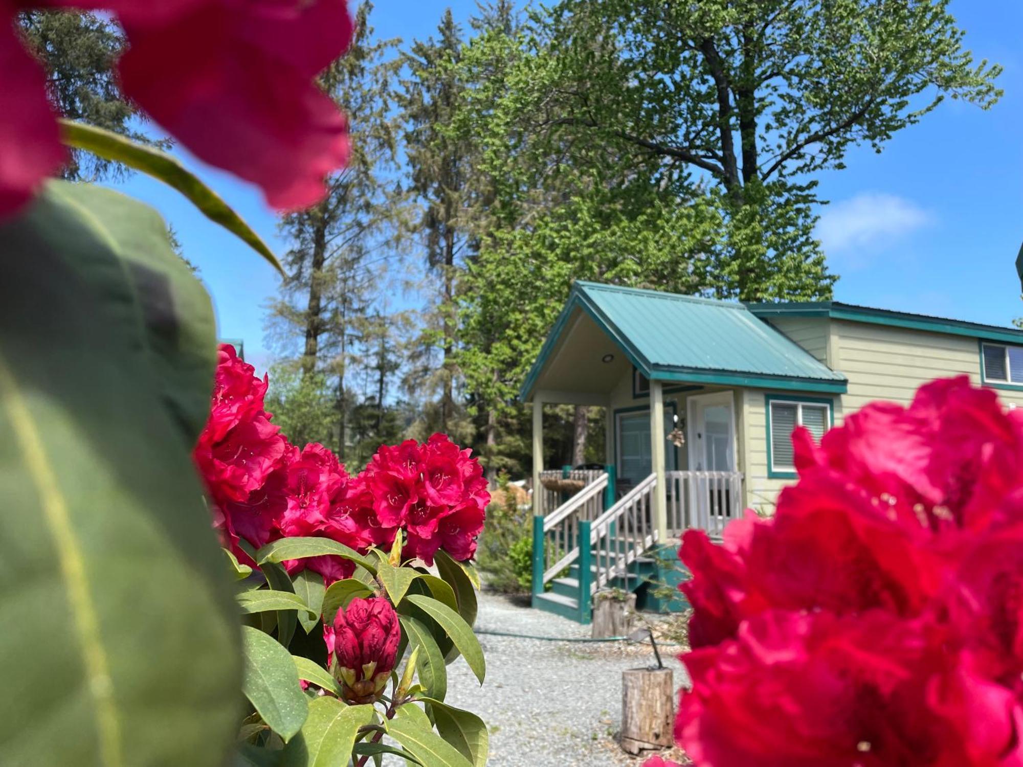 Sheltered Nook On Tillamook Bay Bay City Exterior photo